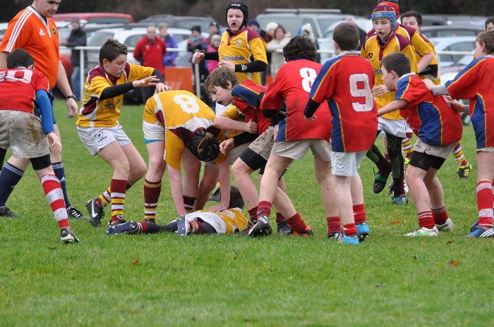 Bruff v UL Bohs u13 Bruff Rugby Football Club