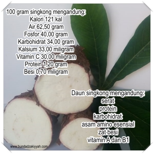 Singkong, Sumber Pangan dari Hutan - Lifestyle Blog