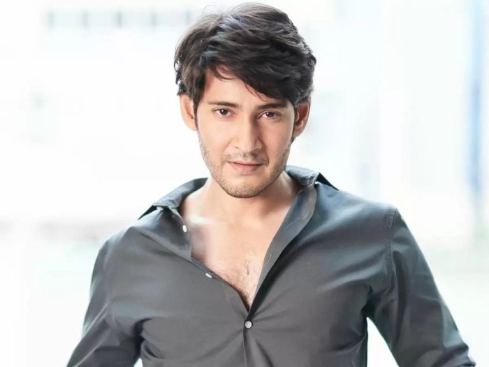 MAHESH BABU NET WORTH