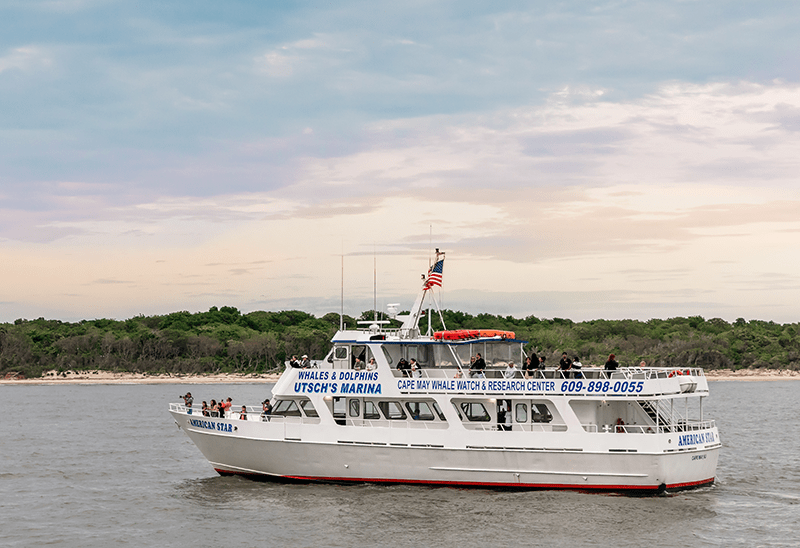 Learn techniques, understand gear, and read about freshwater fish with this guide to freshwater fishing for begi. Cape Sea Excursions - Activities in Cape May