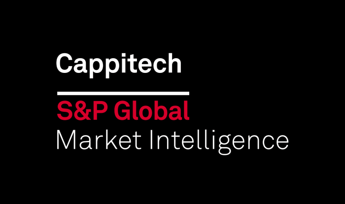 What is the company name for cappitech.com