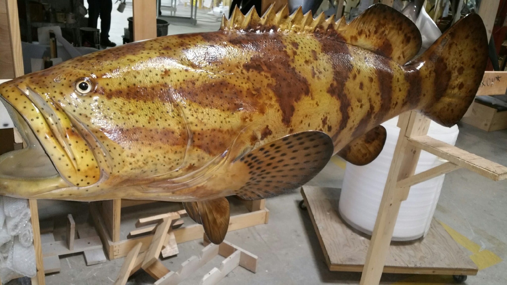 Fish Mounts Captiva Fishing Report