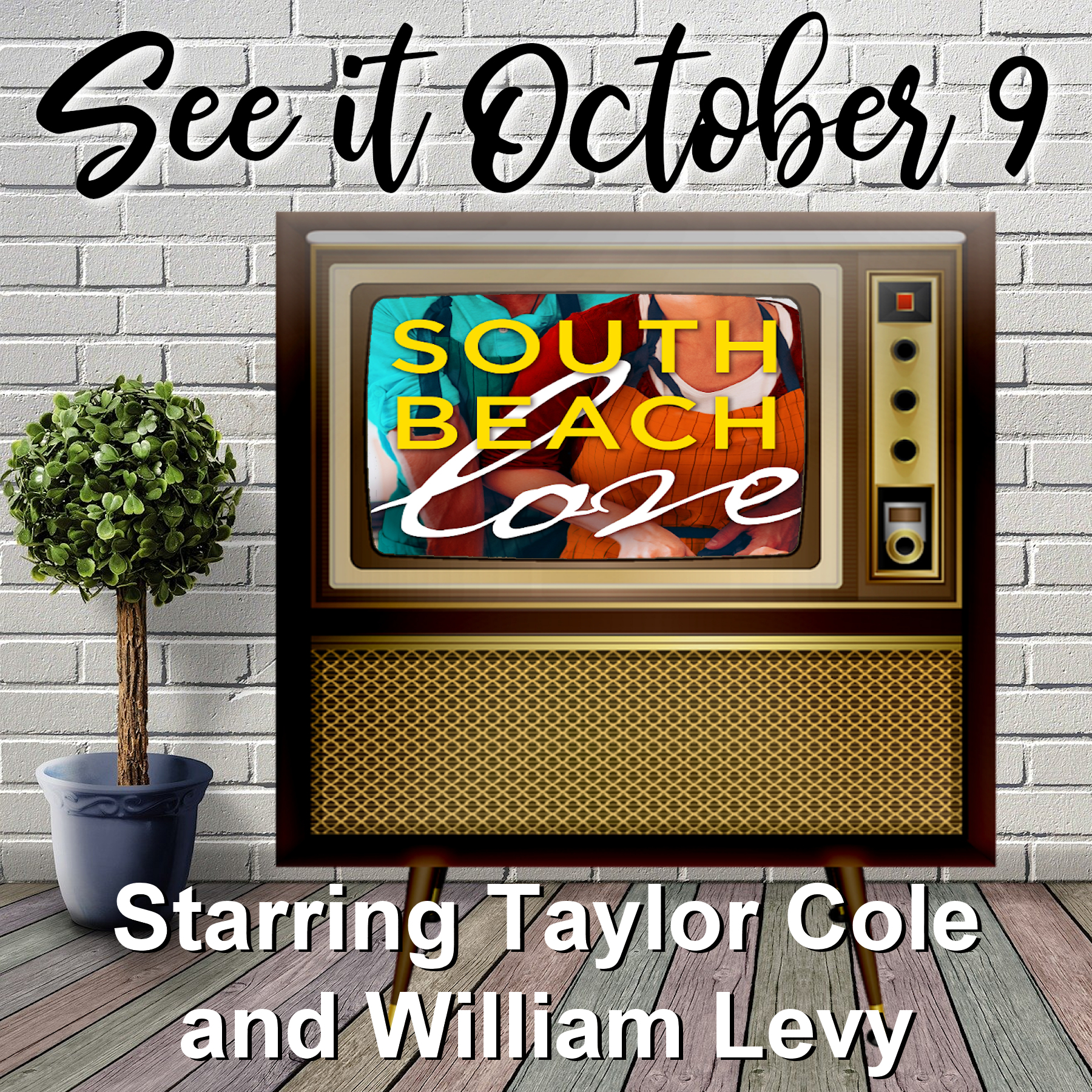 'south beach love' hallmark movie review. South Beach Love Is Now A Hallmark Channel Movie Caridad Pineiro Romance Author