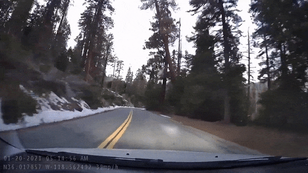 Many companies featured on money advertise with us. Watch As A 200-Foot Redwood Tree Crashes Down Onto A