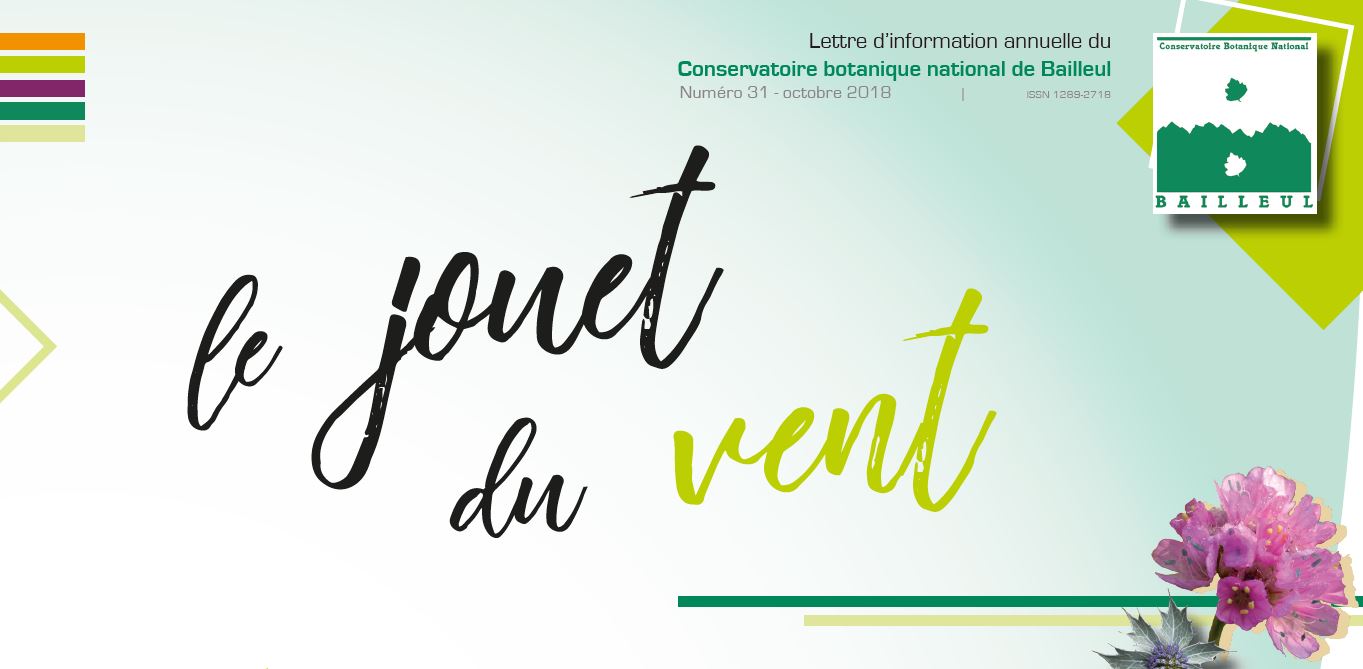 On ne regrette pas notre choix. Le Jouet du vent nÂ°31 est paru | CBNBL