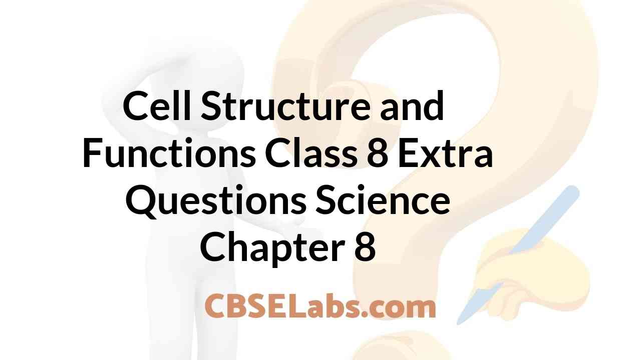 Cell Structure and Functions Class 8 Extra Questions Science Chapter 8