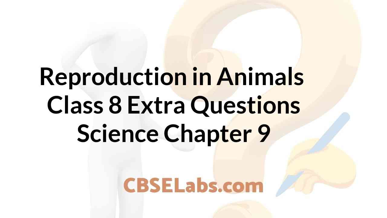 Reproduction in Animals Class 8 Extra Questions Science Chapter 9