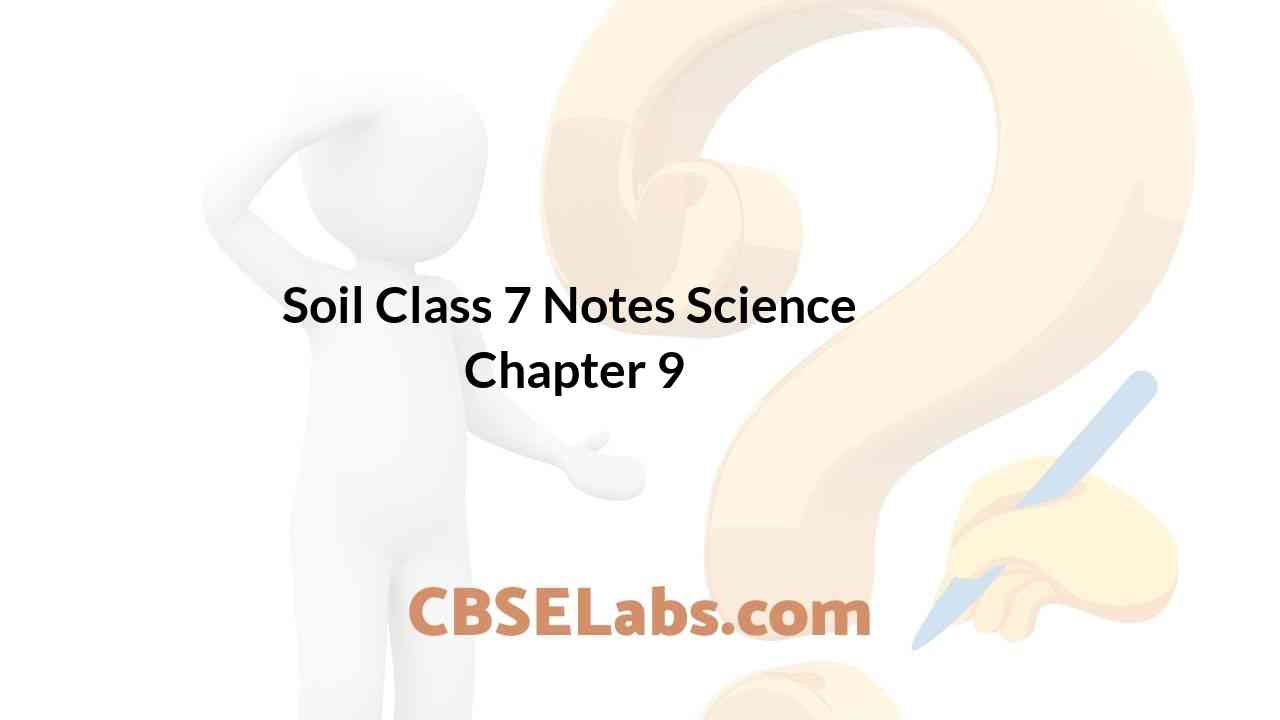 Soil Class 7 Notes Science Chapter 9 - CBSE Labs