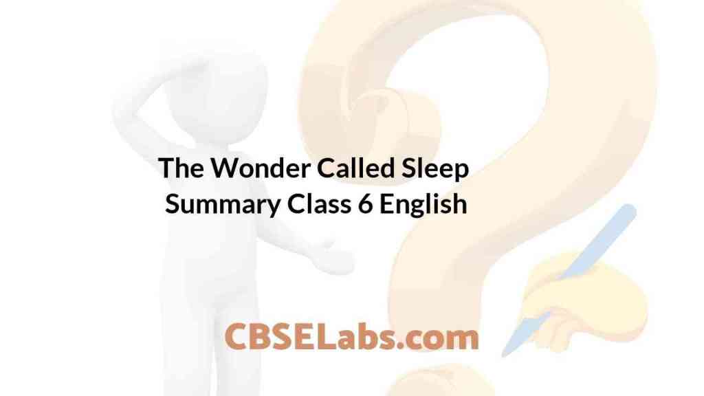 The Wonder Called Sleep Summary Class 6 English CBSE Labs