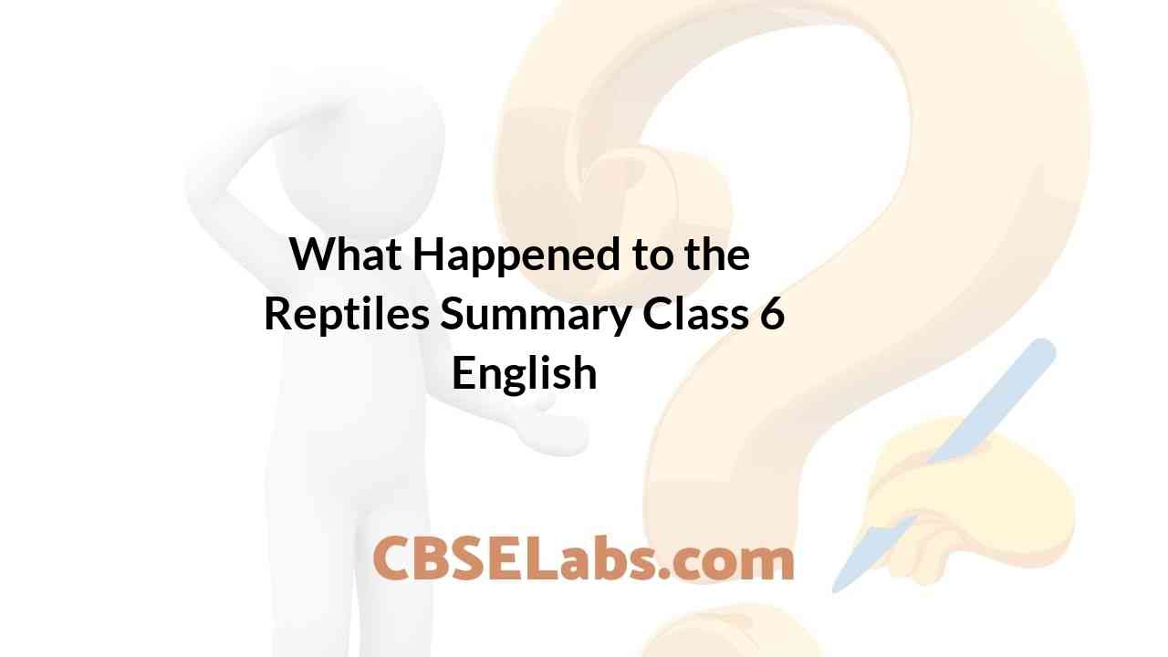 What Happened to the Reptiles Summary Class 6 English CBSE Labs