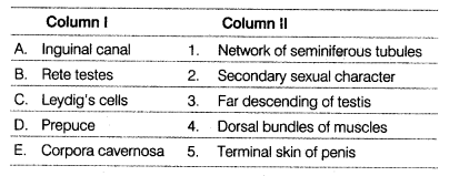 NEET Biology Mock Test 1 6