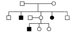 NEET Biology Mock Test 2 1
