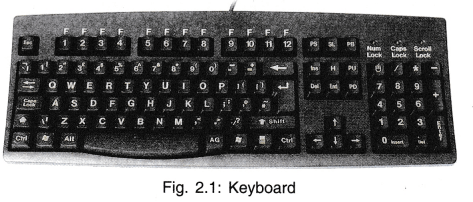 CBSE Notes for Class 9 Foundation of Information Technology - Basic ...