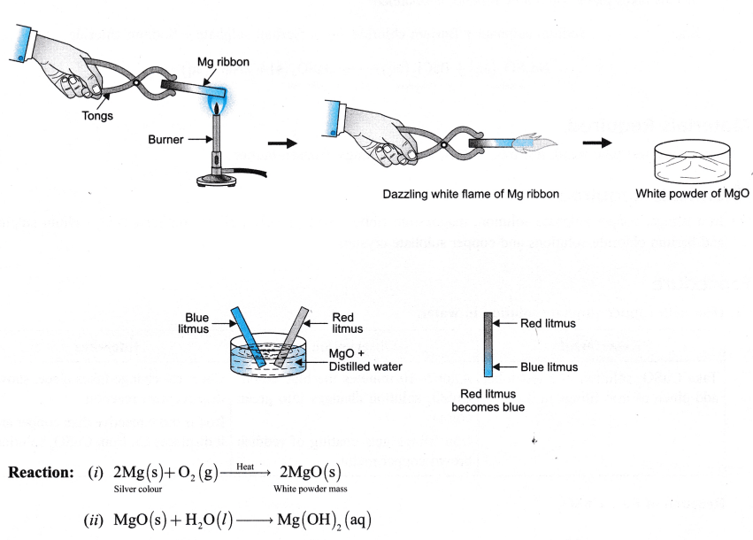NCERT Class 9 Science Lab Manual Types of Reactions and Changes CBSE Tuts