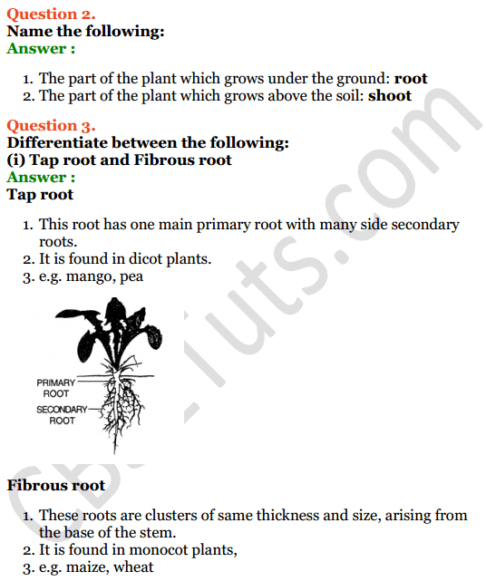 Selina Concise Biology Class 6 ICSE Solutions Chapter 1 The ...