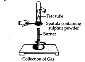 NCERT Solutions for Class 10 Science Chapter 3 Metals and Non-metals 3