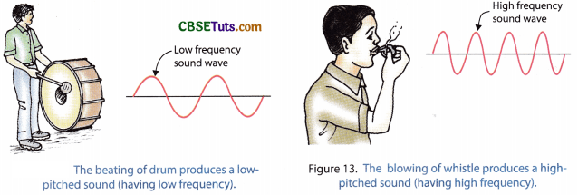 Characteristics of Sound And Types of Sound - CBSE Tuts