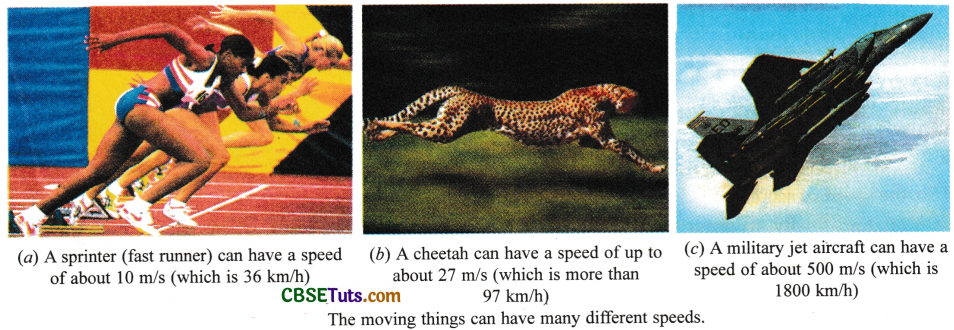 Speed and Its Units 4