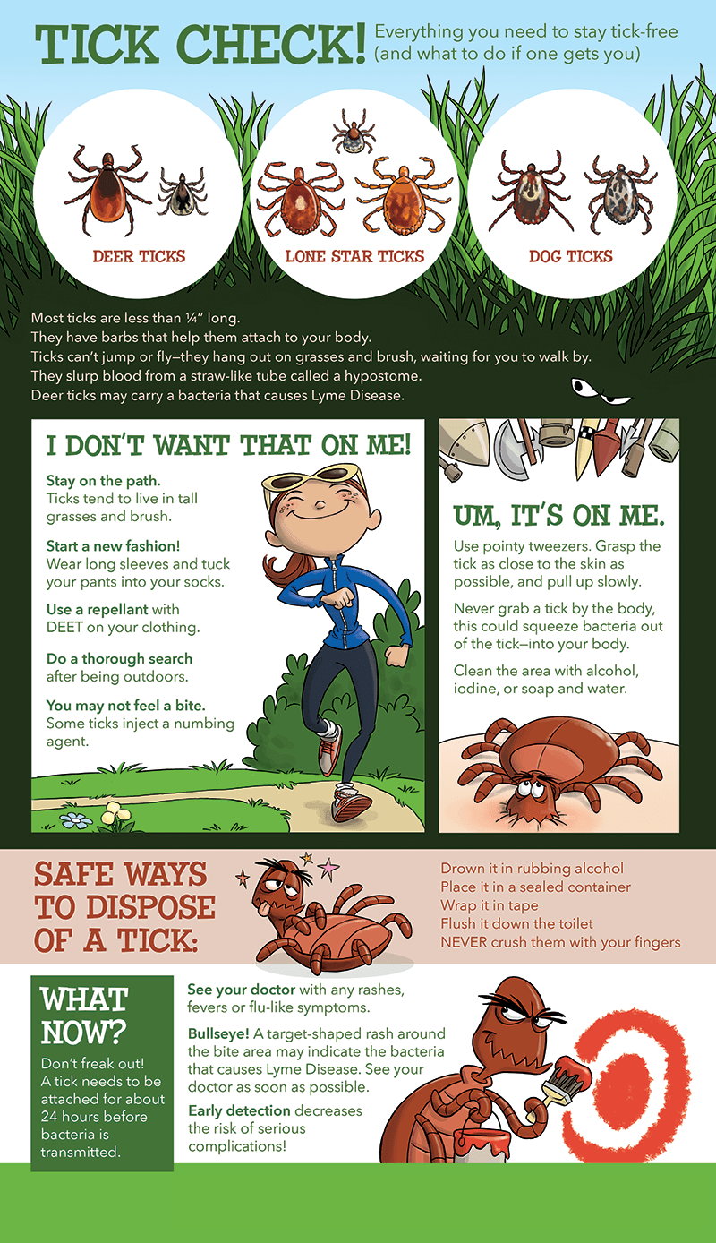 Tick Infographic for StarTribune Cedric Hohnstadt Illustration