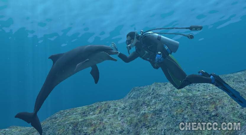 That's right folks, there will not be a new nintendo switch in 2020. Endless Ocean Review for the Nintendo Wii
