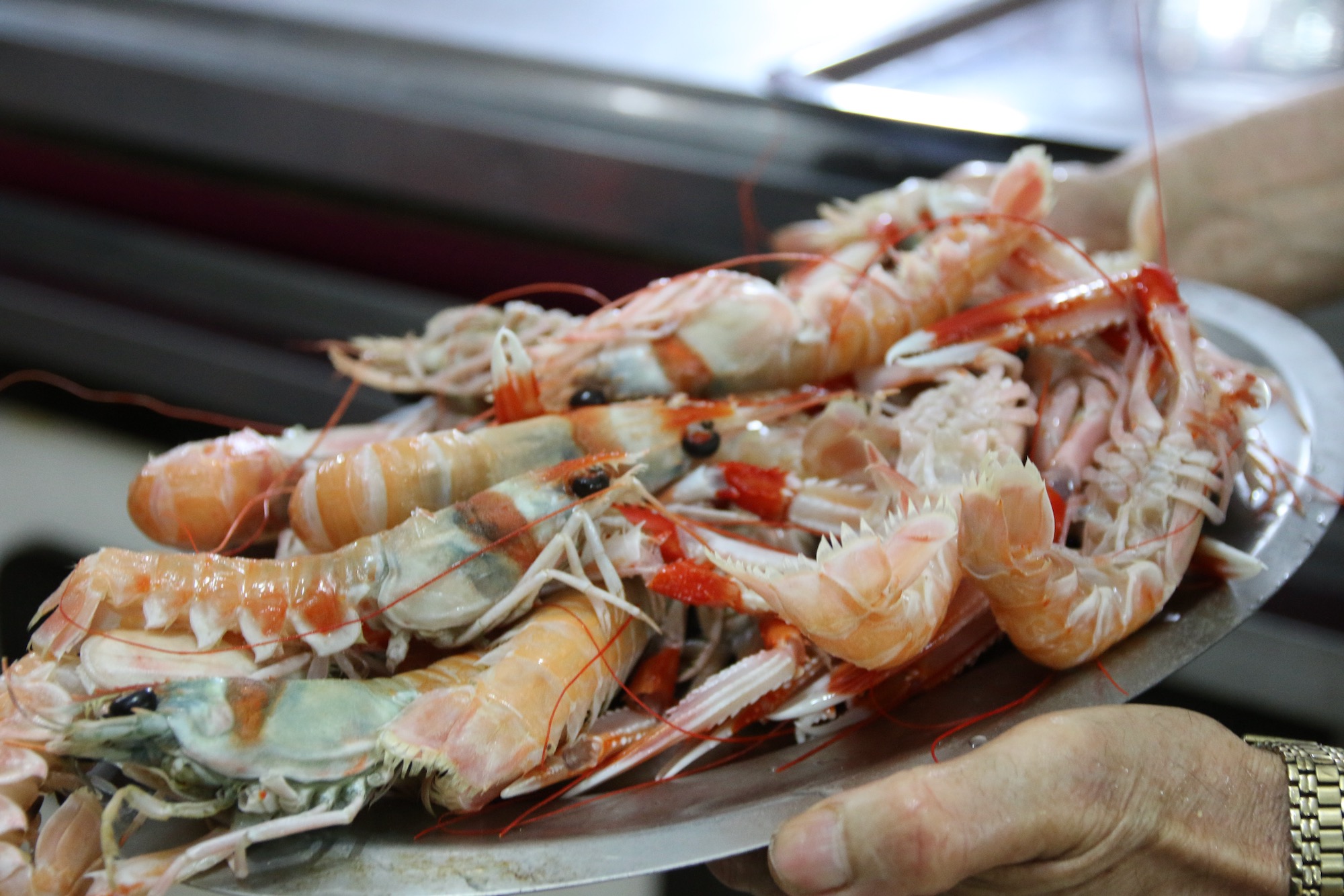 中東の魚介料理 モロッコ編 サラーム海上の家
