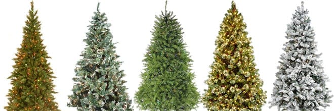 You don't have to drive far to get a christmas tree, but you can if you want to. How To Pick The Right Christmas Tree Christmas Central