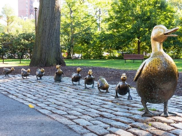 Use any third party library like imagegear atalasoft dotimage regards. Atalasoft Enhances Its Web Based Document Imaging Software