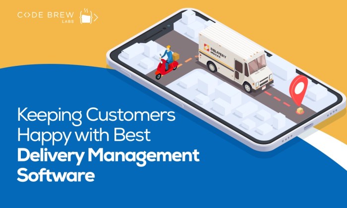 Delivery Management Software Transforms Logistics
