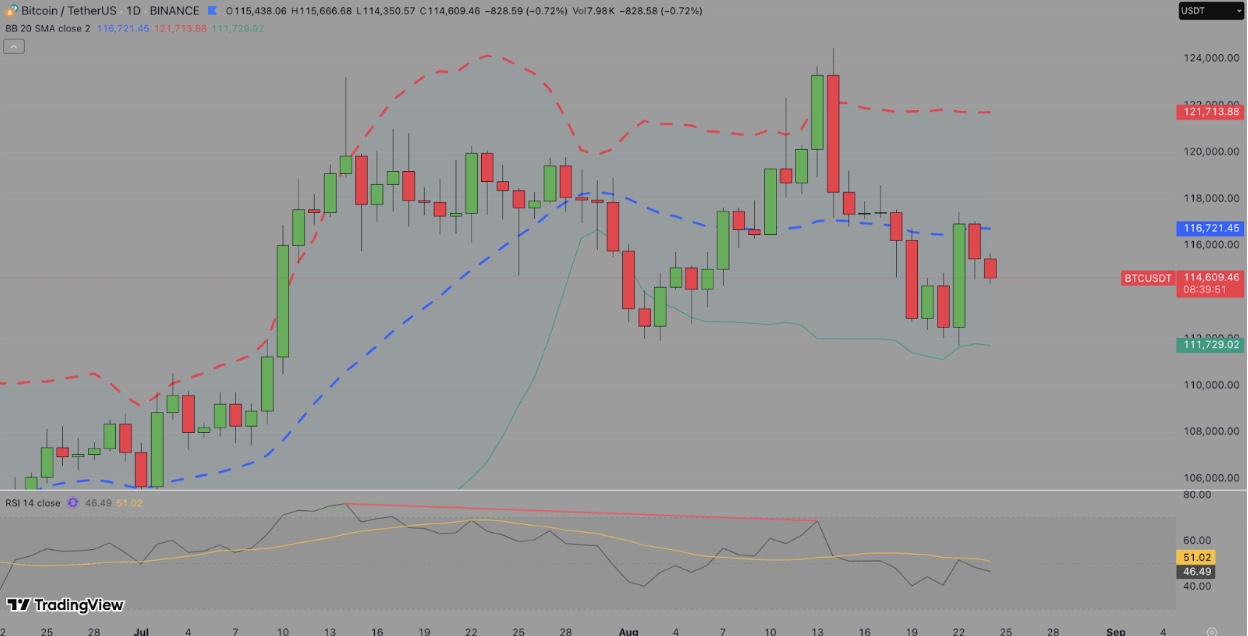 Bitcoin price forecast | Source: TradingView