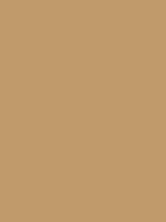 Opening, adjusting and closing blinds is a fairly simple and straightforward process. Camel / #c19a6b hex color