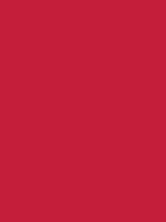 Where did the son get his allele for colorblindness? Cardinal / #c41e3a hex color