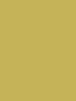 Burke's description echoes what i've been seeing from certain white classmates on my timeline: Vegas gold / #c5b358 hex color