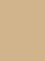 Opening, adjusting and closing blinds is a fairly simple and straightforward process. Tan / #d2b48c hex color