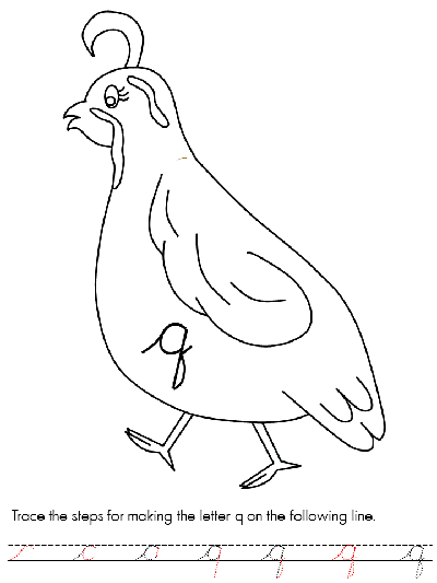 These free, printable summer coloring pages are a great activity the kids can do this summer when it. Quail Coloring Pages