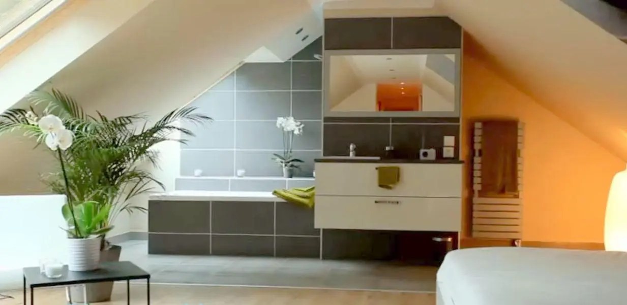 De quoi s'inspirer pour comparer. Tout Comprendre Pour Bien Amenager Une Salle De Bain Sous Combles Combles D En France