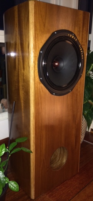 Slanted rear ported guitar extension cabinet; Audio Nirvana DIY Full Range Speaker kits and DIY Audio
