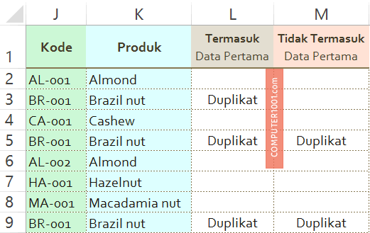 3 Cara Menemukan Data Duplikat Excel – Computer 1001
