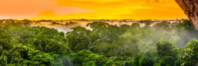 La Deforestation Dans Le Monde En 10 Donnees Cles