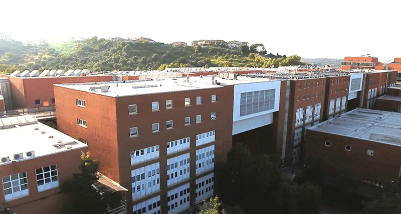 Unical, Il Corso Di Scienze Dell'educazione Promuove La Rete Per L' Educazione Sociale 428_x_800_png