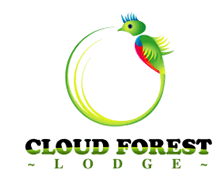 Costa Rica Hotels Adventure Tours And Reservations Cloud Forest Lodge