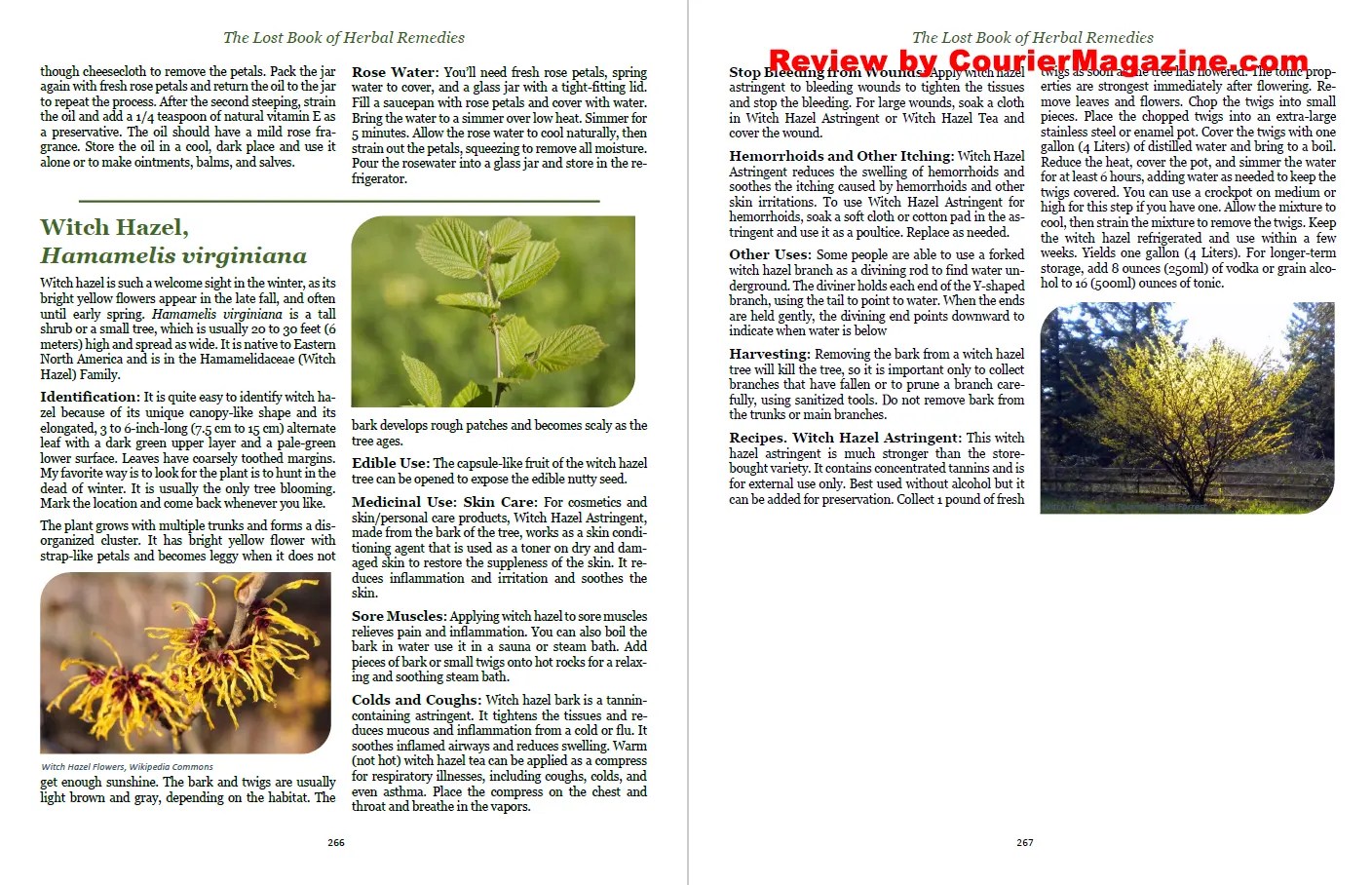 wallpapers The Lost Book Of Herbal Remedies Pdf  courier magazine
