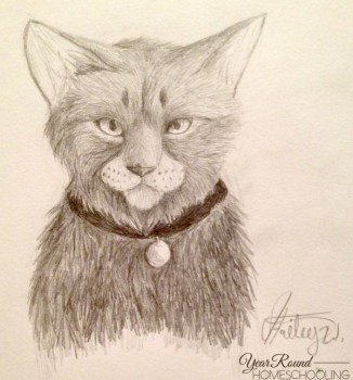 Inspire Me Monday Week 262 Create With Joy