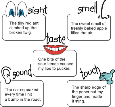 Use them in conjunction with other vocabulary lists associated with your curriculum. Inferences And Sensory Language Create Webquest