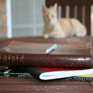 We only accept requests from churches in the u.s. Armor Of God Bible Study 10 Free Lessons Kids To Adults