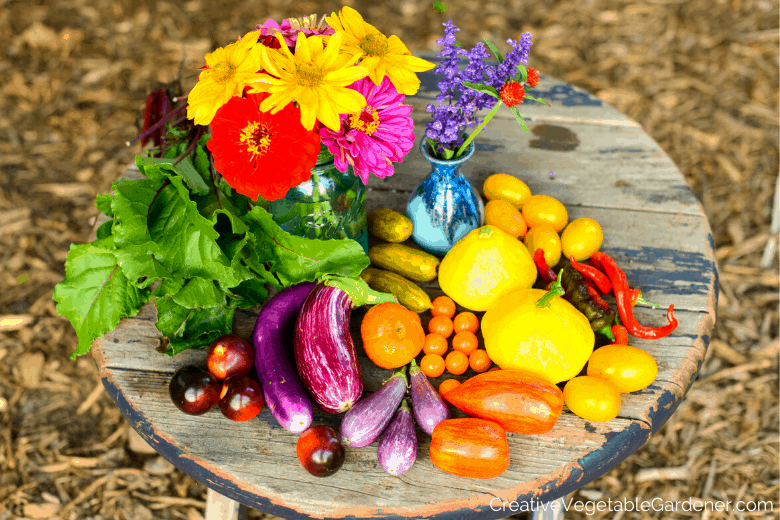 Please visit our csa share options page to learn about options of getting fresh, organic vegetables right from mike's garden harvest fields delivered right to your doorstep. Creative Vegetable Gardener Want To Increase Your Garden Harvest Learn This