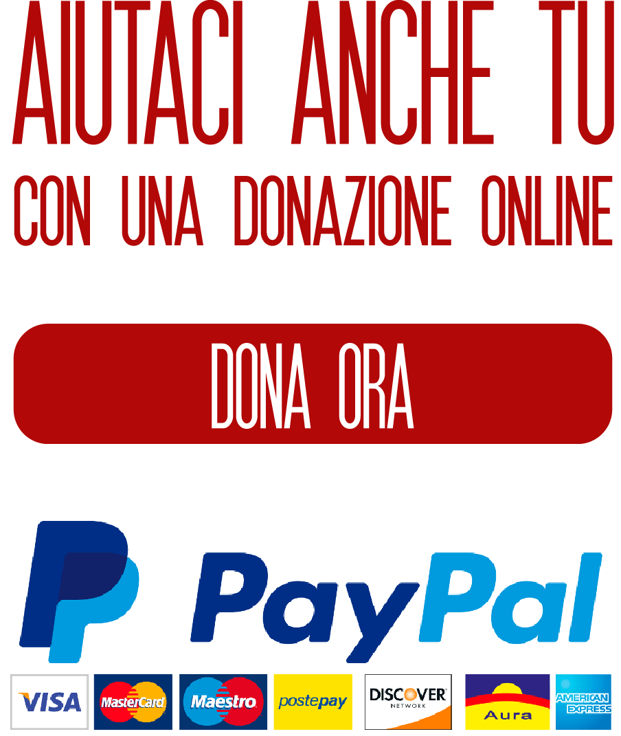 Croce Rossa Italiana - Comitato Di Bologna 1071_x_904_png