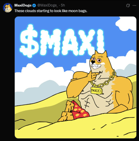 Maxi doge
