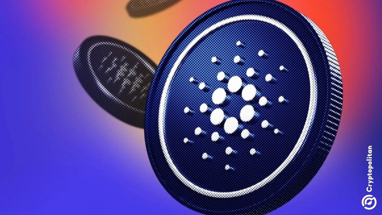 Cardano shares $77M of tokens to 11 delegated reps for ‘resilience and diversity’ goals