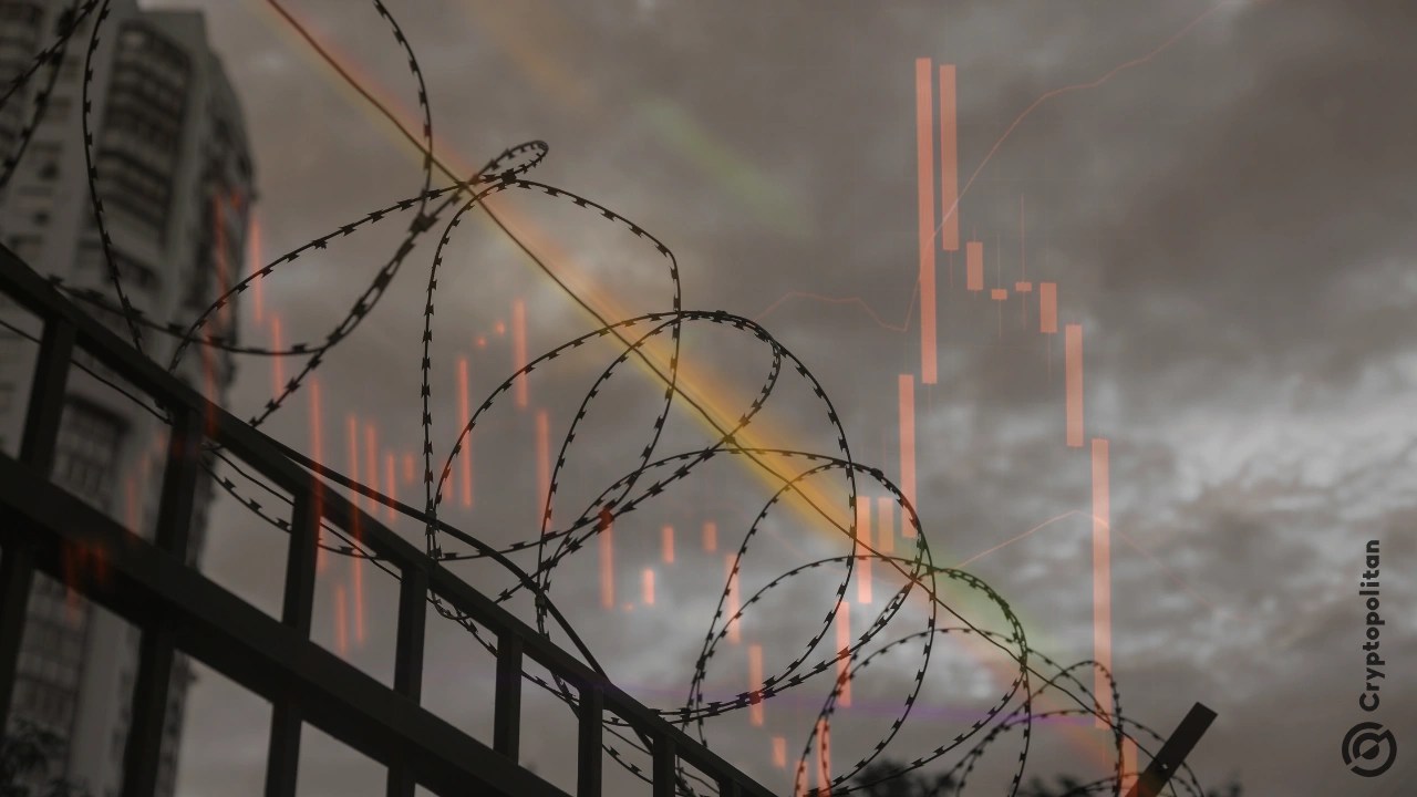 Founder of the defunct AEX exchange released on bail in Thailand