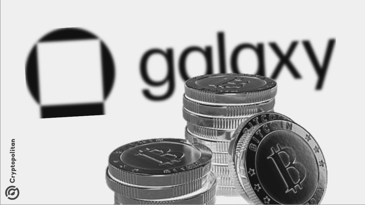 Galaxy Digital is talking with Kalshi and Polymarket about becoming a liquidity provider